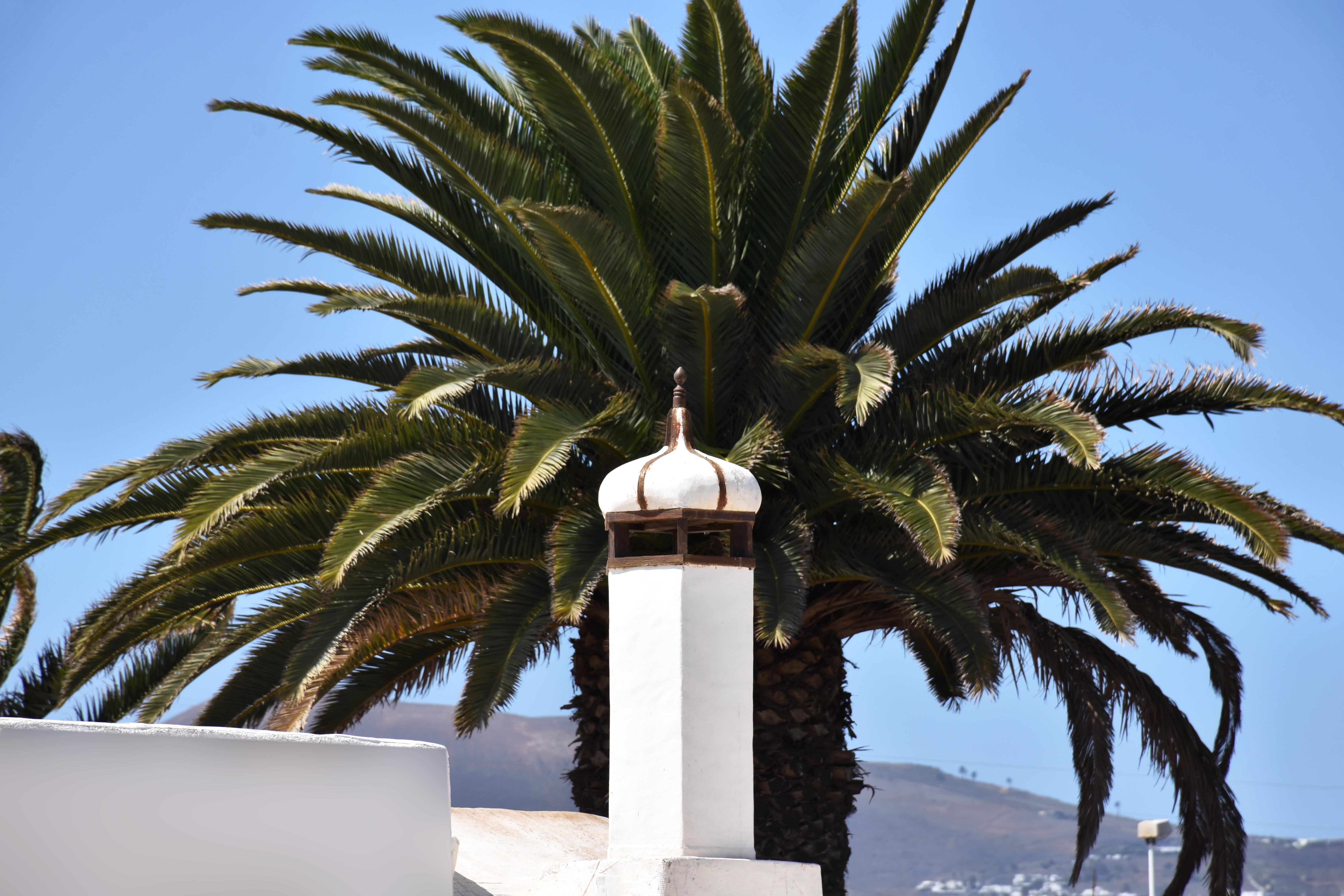 Apartamentos Tisalaya Puerto del Carmen (Lanzarote) Exterior foto